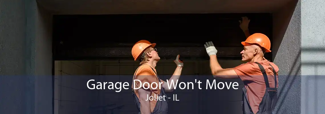 Garage Door Won't Move Joliet - IL